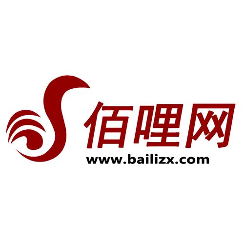 上海佰哩信息技术